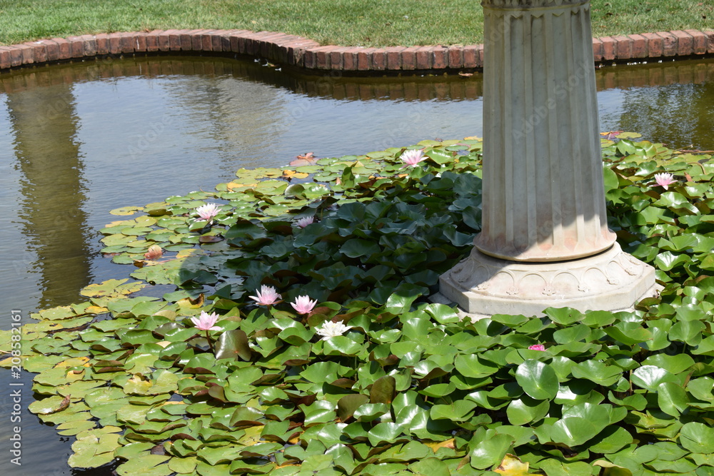 Naklejka premium Column