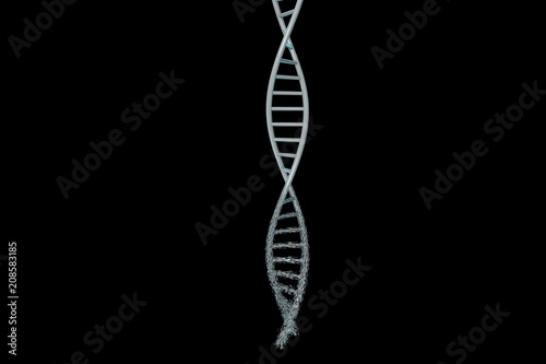 3d modeling, DNA modeling