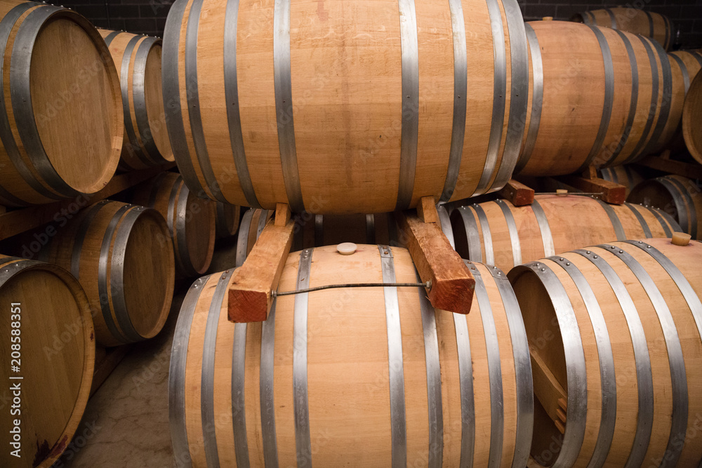 Barrique di legno per il vino