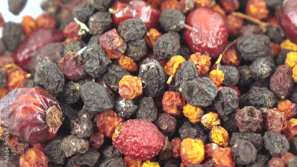 Collection of Carpathian berries Collection of Carpathian berries