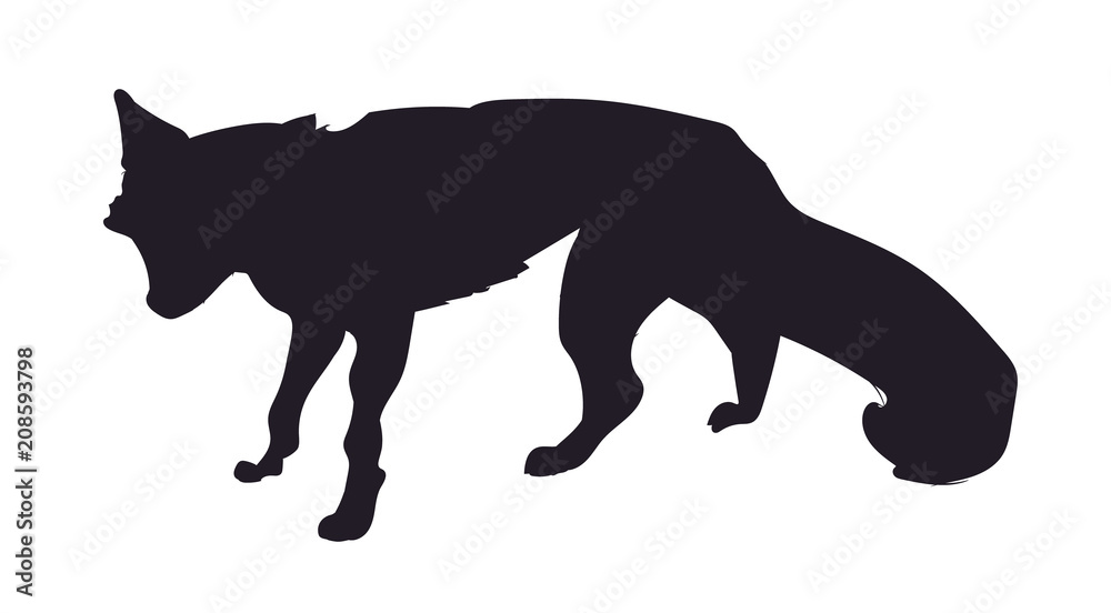 Obraz premium fox stands, silhouette, vector