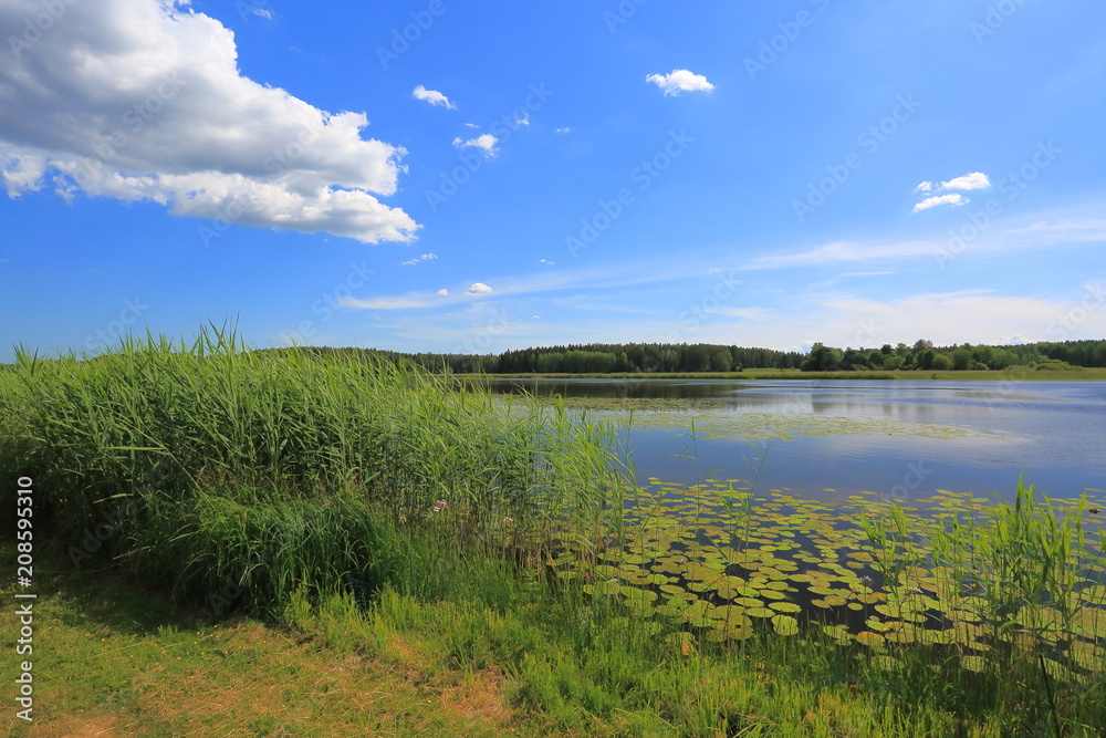 Gorgeous nature landscape on a summer day. Green paints, mirror water surface and blue sky with snow white clouds. Amazing nature landscape background. 
