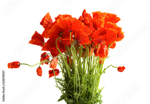 Fototapeta Naklejka Na Ścianę i Meble -  Bouquet of poppy flowers