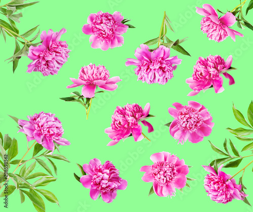 Set of many pink peonies