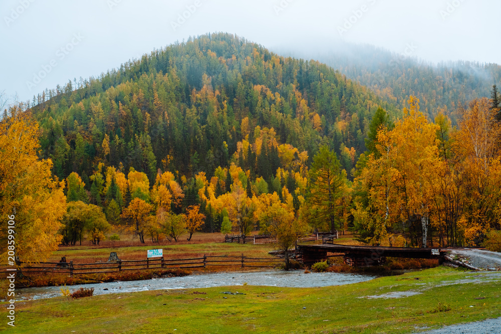 Obraz premium Mountains with colorful autumn forest at overcast. Beautiful landscape in autumn.