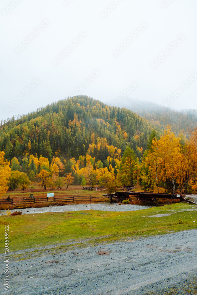 Obraz premium Mountains with colorful autumn forest at overcast. Beautiful landscape in autumn.