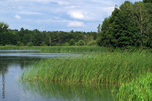 jezioro,woda,krajobraz,niebo,błękit,chmury,drzewa,zieleń,