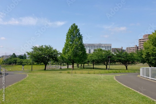 Wallpaper Mural 初夏の公園 Torontodigital.ca