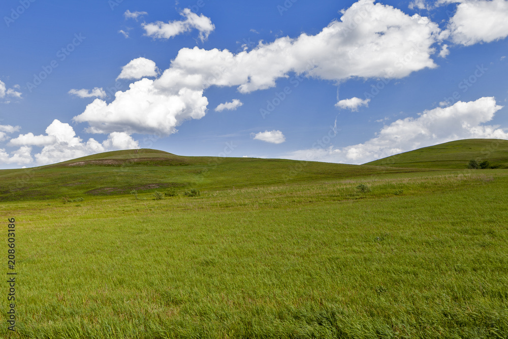 Green field and blue sky. Beautiful view of the grass and the hills on a sunny summer day.