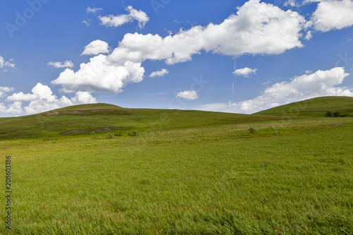 Green field and blue sky. Beautiful view of the grass and the hills on a sunny summer day.