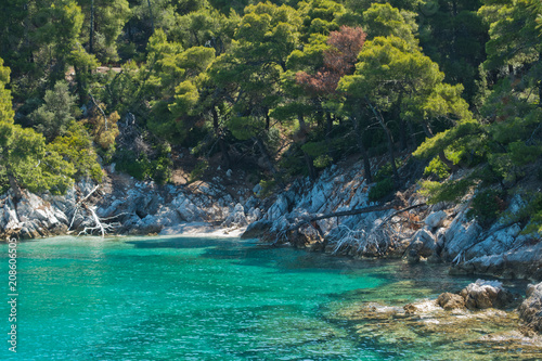 Hidden beach surrounded with pine trees and crystal clear turquoise water near Cape Amarandos at Skopelos island, Greece