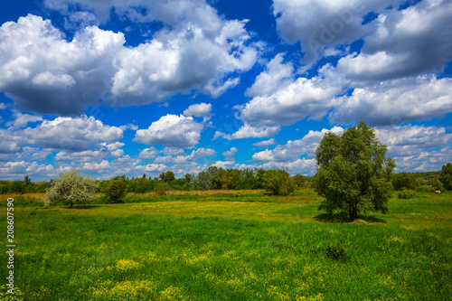 beautiful summer rural landscape  green fields under a cloudy blue sky