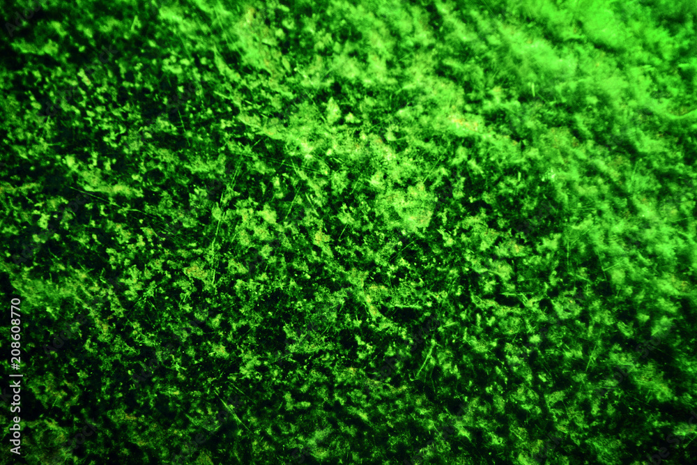 Green Texture Surface Background Green Texture Surface Background