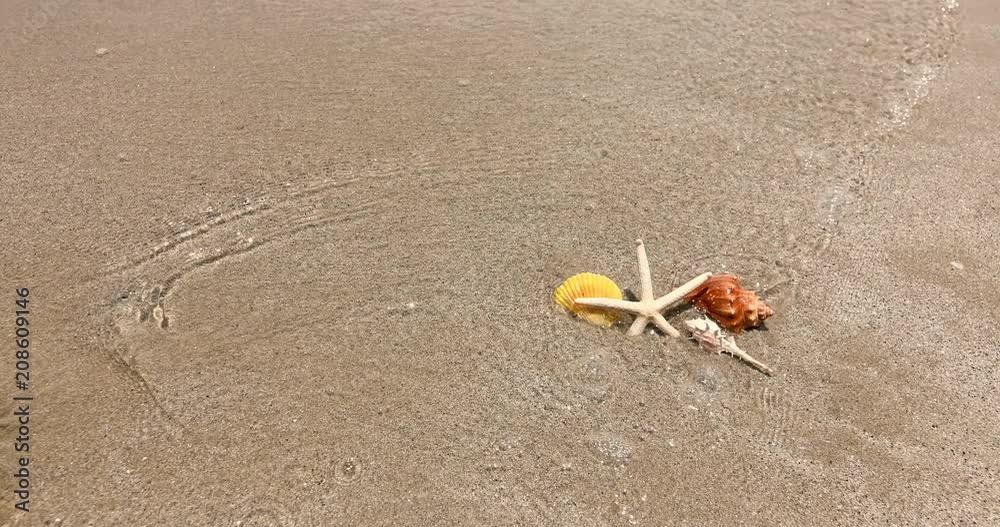 Starfish and seashell on sand beach , fresh tropical summer background , 4K Dci resolution Starfish and seashell on sand beach , fresh tropical summer background , 4K Dci resolution