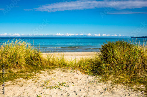 beach path and sky