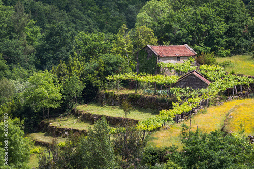 Aerial shot of the terrace fields at Sistelo, Portugal photo