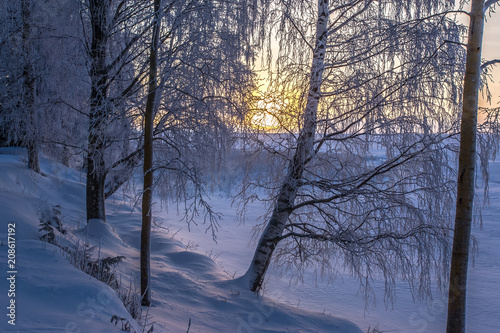 Winter landscape from Sotkamo, Finland. © ville