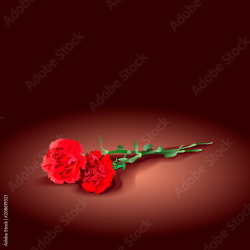 two mourning carnations for a funeral. Red flowers on a dark background. Vector illustration