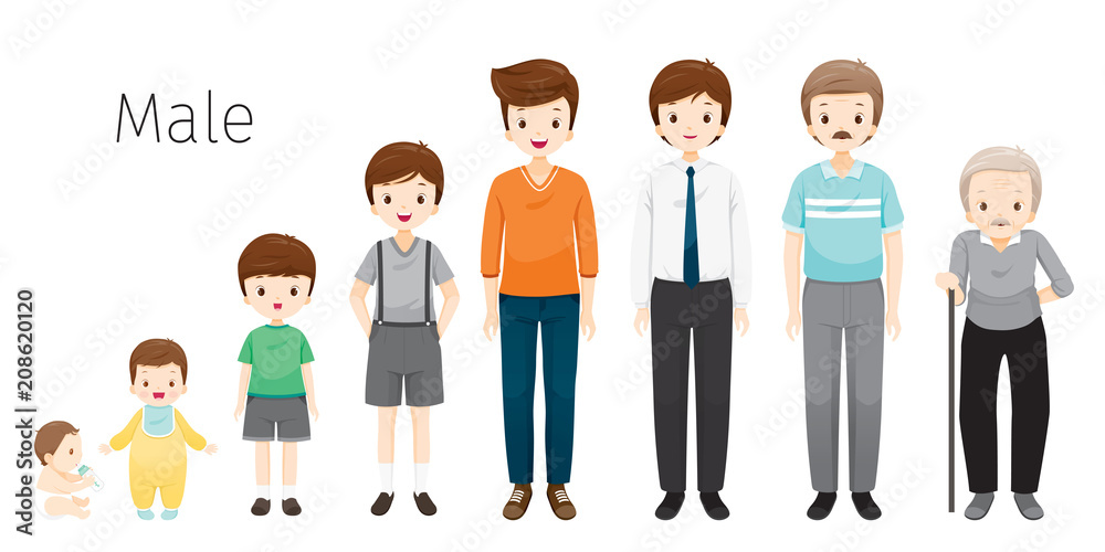 The Life Cycle Of Man. Generations And Stages Of Human Body Growth. Different Ages, Baby, Child