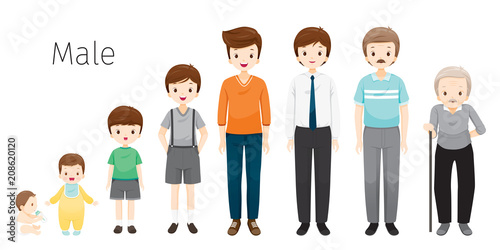 The Life Cycle Of Man. Generations And Stages Of Human Body Growth. Different Ages, Baby, Child, teenager, adult, Old Person, Age, People, Development, Lifestyle