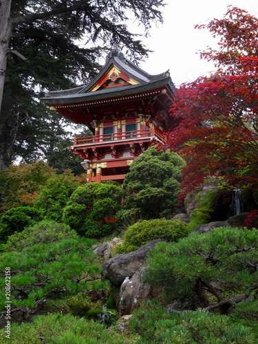 Japanese Tea Garden, San Francisco, USA