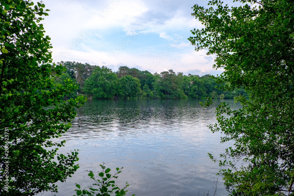 Trees at Lake Schlachtensee