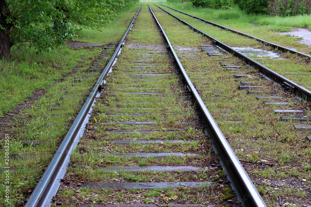 the railway is overgrown with moss and grass the railway is overgrown with moss and grass