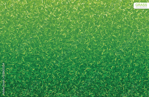Green nature lawn grass texture and pattern for background. Vector. photo