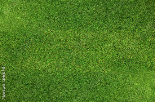 Green natural grass pattern and texture  background.