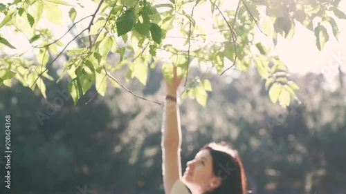 A young beautiful woman gently touches branches of a tree, covered with green and shining in the sunlight leaves photo