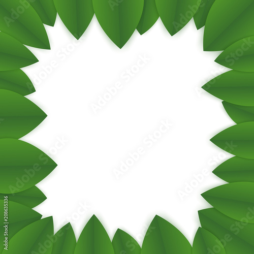 floral banner template. green leaves on white background. flyer for your advertisements. frame made of greenn petals © Daina Lockie