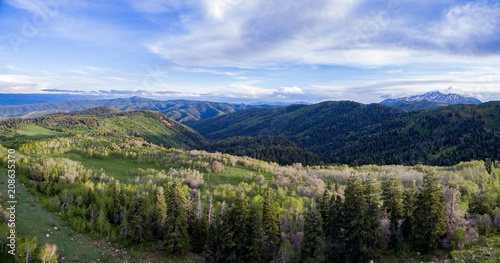 Aerial panoramic view of a mountain forest on a beautiful summer day