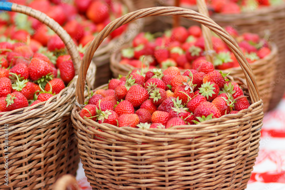 Red strawberry harvested in wicker baskets outdoors Red strawberry harvested in wicker baskets outdoors