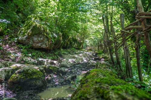 Zeda-gordi, Georgia. View Of Paved Forest Path Leading To Canyon Okatse