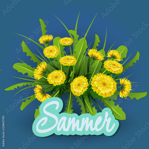 Fototapeta Naklejka Na Ścianę i Meble -  Vector illustration  Springtime on background with spring flowers. Dandelions