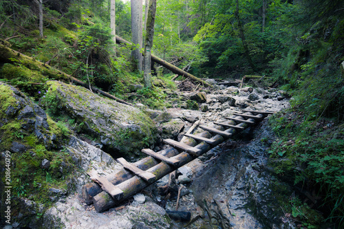 Bild auf Leinwand Rocky canyon with mountain river and a wooden staircase.