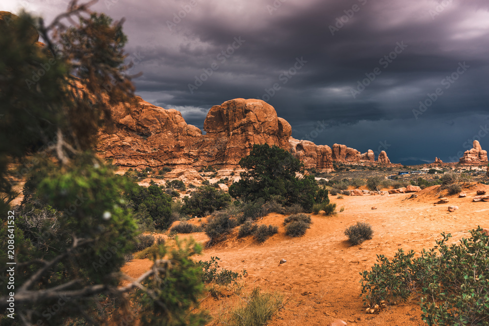 Scenic view of dry desert with green bushes under cloudy sky