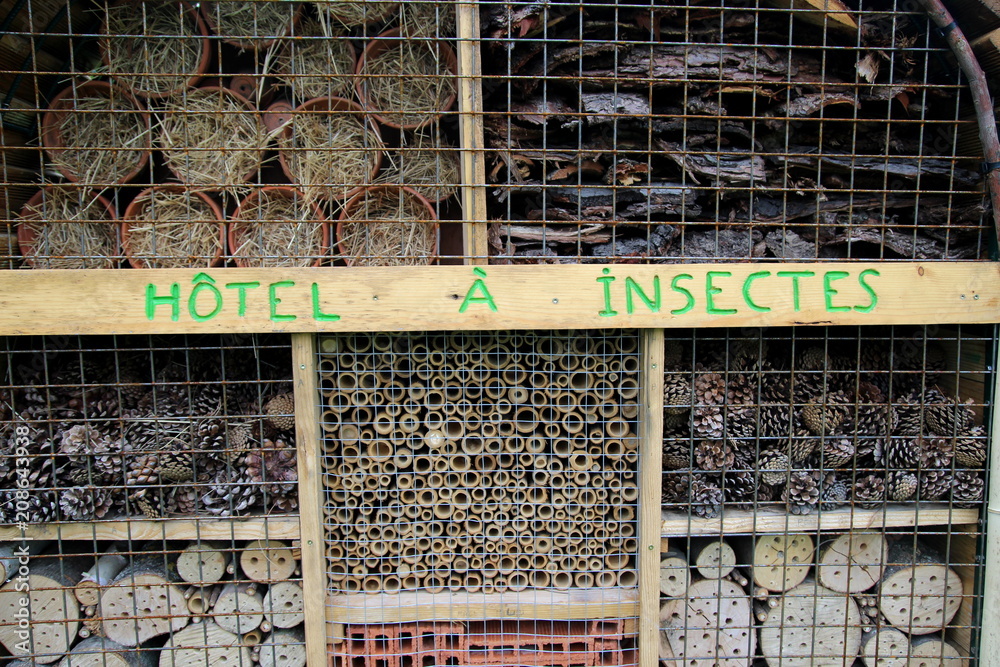 HOTEL A INSECTES