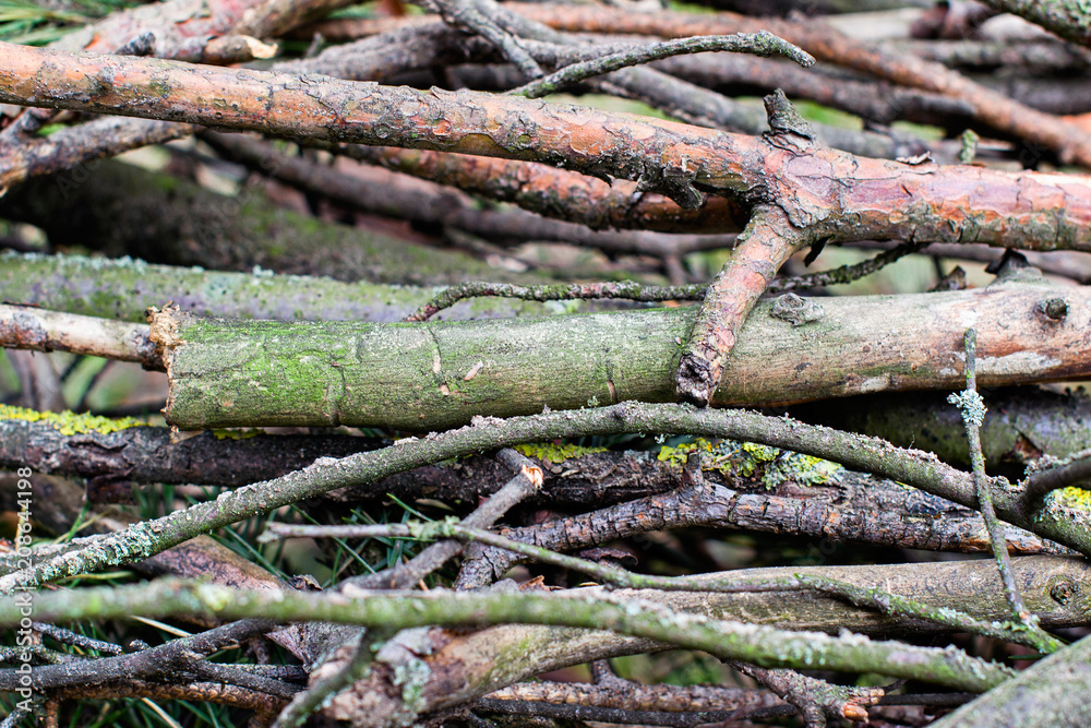 Abstract background is of chopped branches Abstract background is of chopped branches