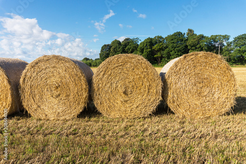 Round bales of straw on a field
