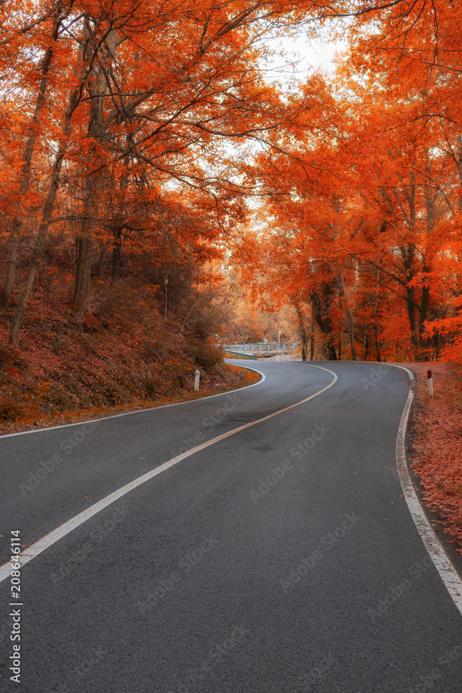 A winding road curves through autumn trees in New England A winding road curves through autumn trees in New England