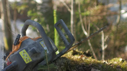 Wallpaper Mural chainsaw lies on the grass in the forest
 Torontodigital.ca