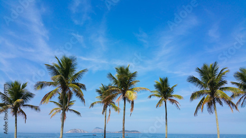 Beautiful Trees on Brazilian Beaches in summer day © Gustavo