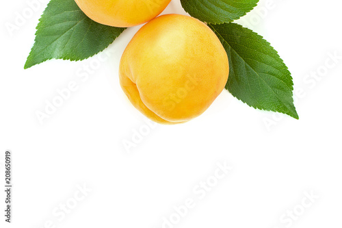 ripe juicy yellow apricots with leaves on a white table