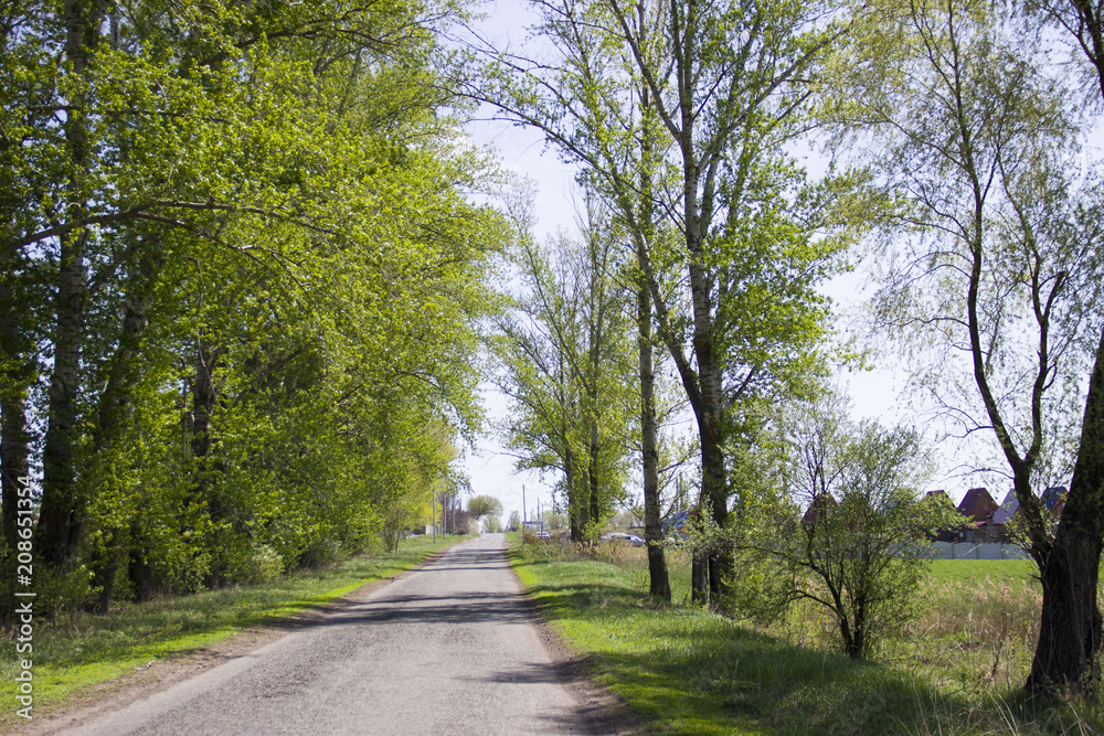 Obraz premium The beauty of nature of the Kharkiv region, Ukraine