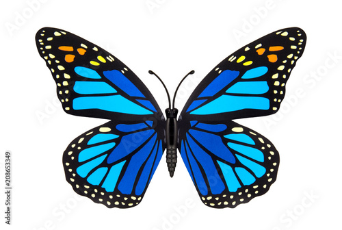 Beautiful blue colored butterfly