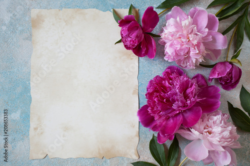 Peonies pink on a background for congratulations and paper for text