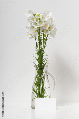 bellflower in a vase on a table by the wall and blank sheet for text, white background