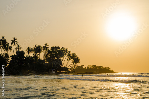 Beautiful Bureh Beach during sunset with silhouettes of palms and surfers, Sierra Leone, Africa