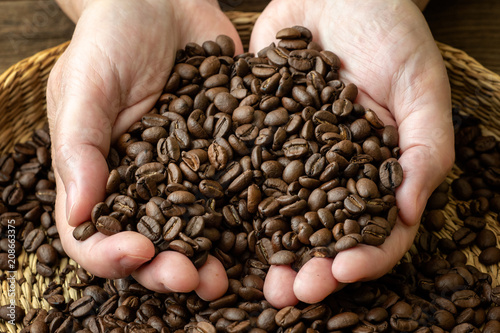 Coffee beans in female hands. Female hands with roasted coffee beans.